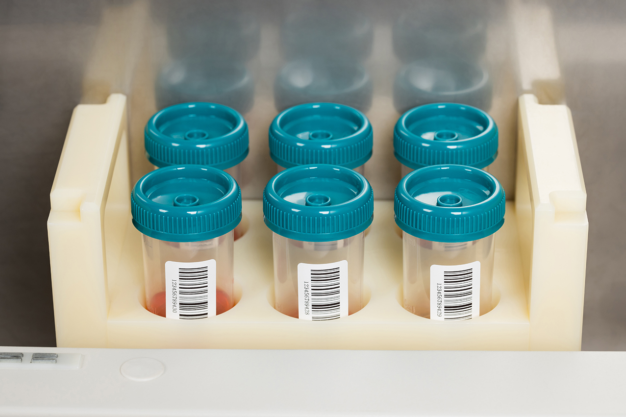 EZPAYǮ����(�й���)-�ٷ���վ