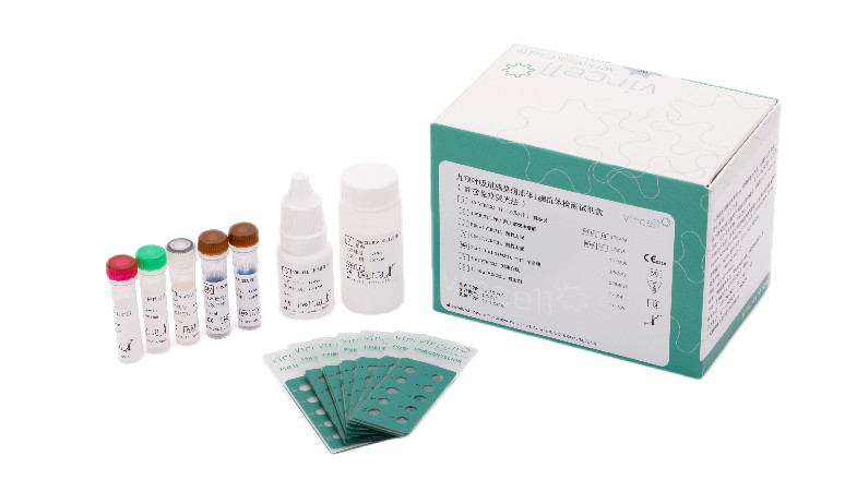 EZPAYǮ����(�й���)-�ٷ���վ