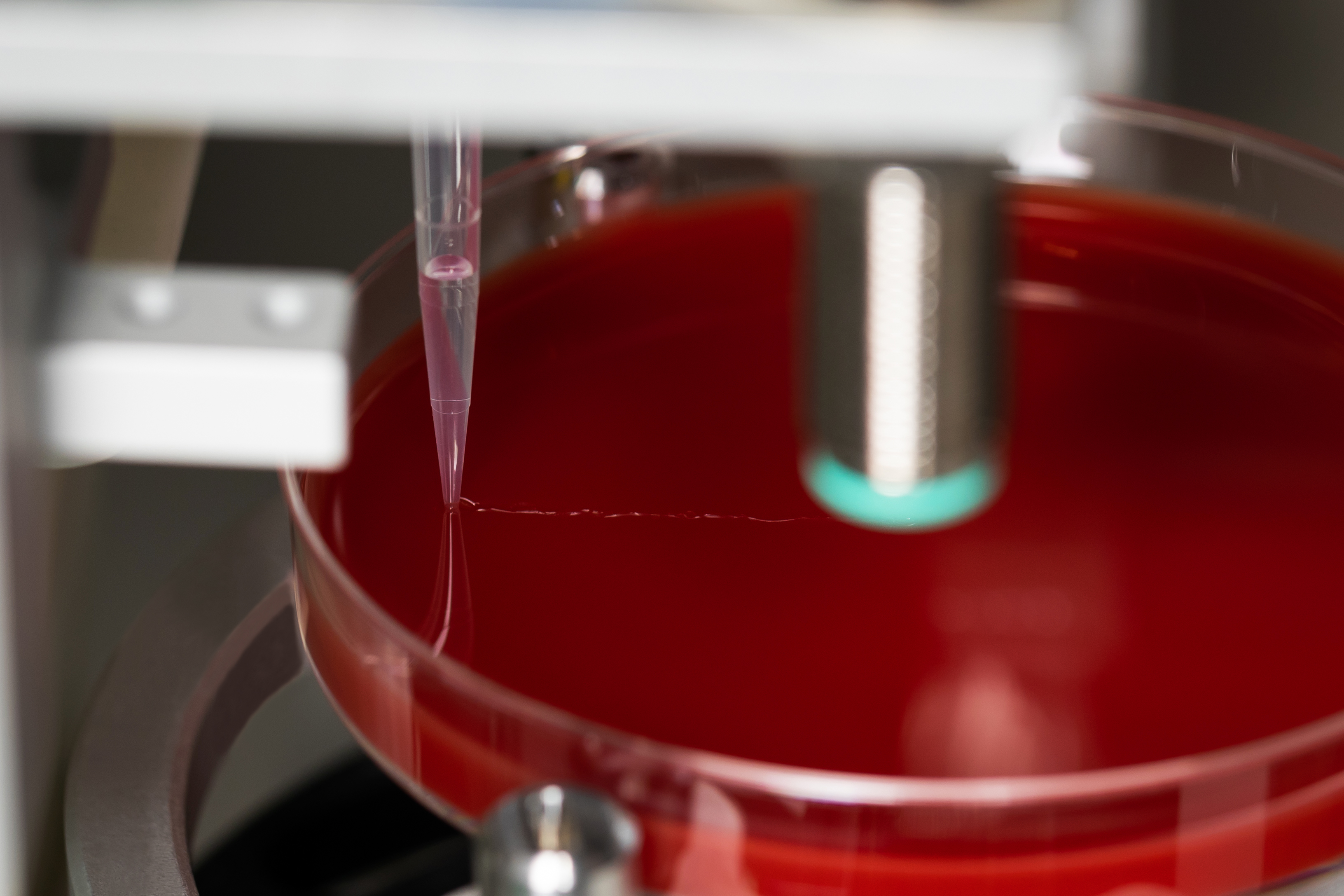 EZPAYǮ����(�й���)-�ٷ���վ